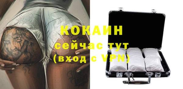 стаф Баксан