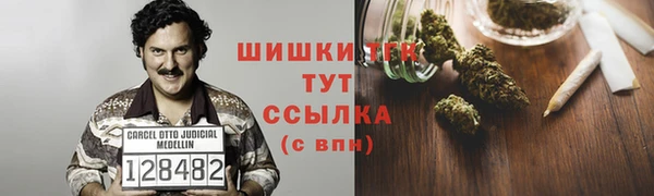 крисы Беломорск