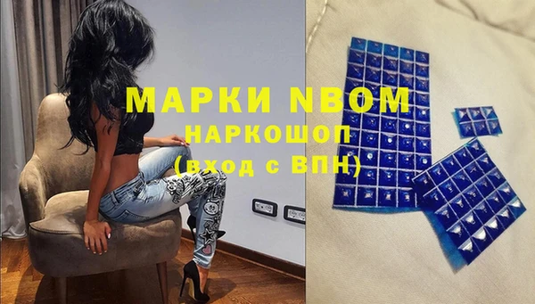 стаф Баксан