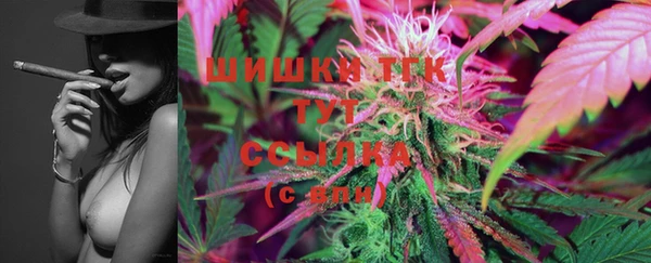 винт Белокуриха