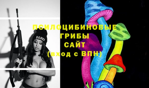 стаф Баксан