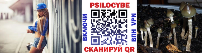 мега ССЫЛКА  где купить наркоту  Воркута  Псилоцибиновые грибы ЛСД 
